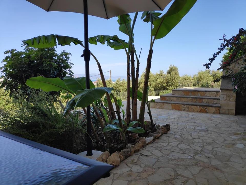Xenia'S Countryside Guesthouse Agia Marina  Ngoại thất bức ảnh