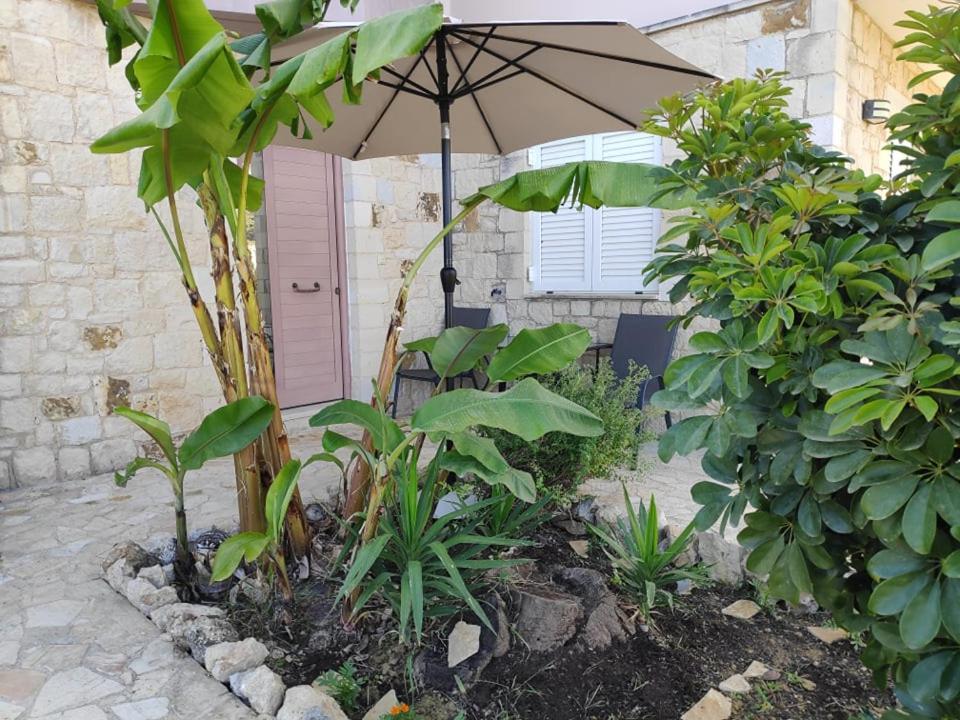 Xenia'S Countryside Guesthouse Agia Marina  Ngoại thất bức ảnh