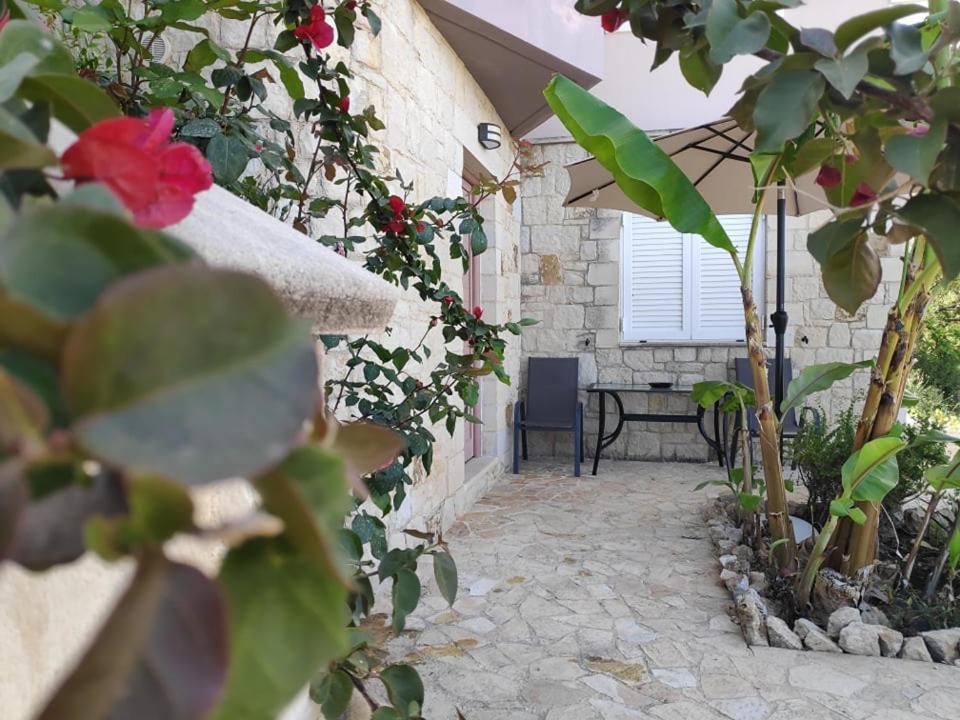 Xenia'S Countryside Guesthouse Agia Marina  Ngoại thất bức ảnh