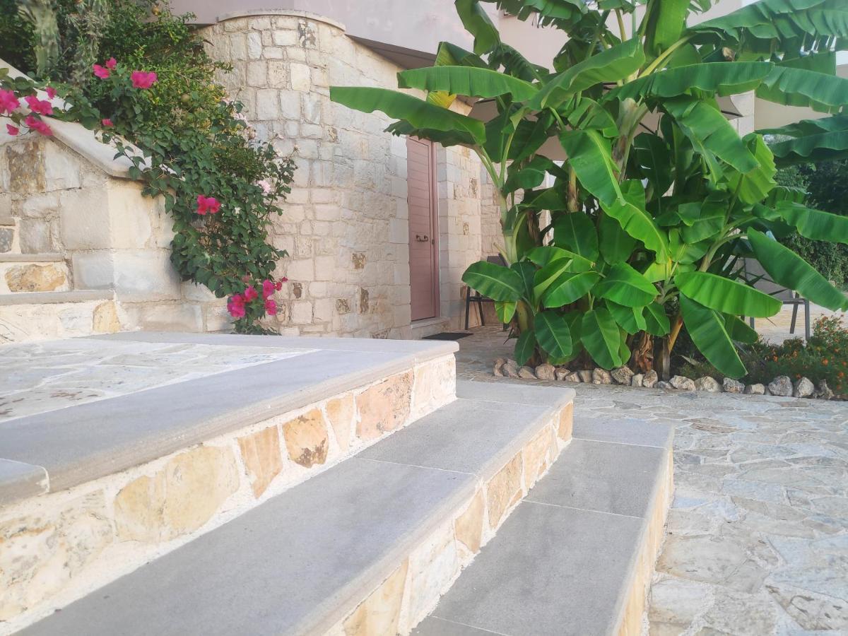 Xenia'S Countryside Guesthouse Agia Marina  Ngoại thất bức ảnh
